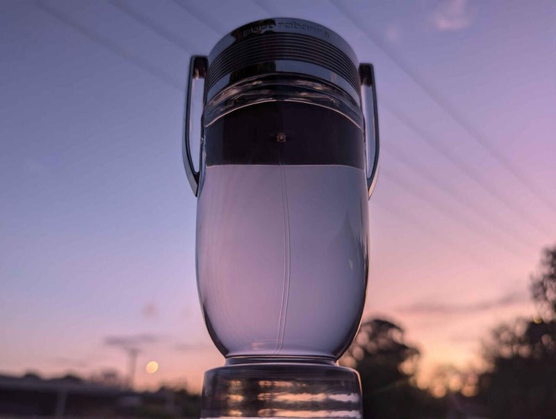 🏆 Trío – Invictus, Sauvage & One Million Lucky 🏆