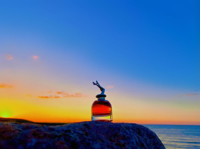 ✨ Trío – Scandal, J’adore & La Vie Est Belle 🏆